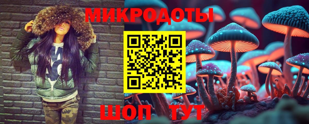 Южно-Сахалинск  Псилоцибиновые грибы MAGIC MUSHROOMS  Вход с VPN 